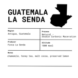 Guatemala Finca La Senda