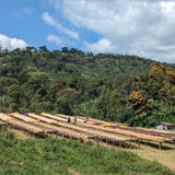 Ethiopia Layo Teraga