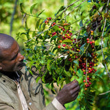 Ethiopia Yirgacheffe